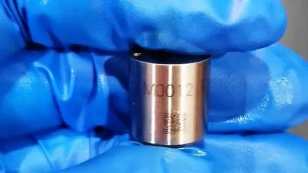 Liwei Brand Common Rail Diesel Nozzle M0012P154  for VDO Fuel Injector A2C59513556 