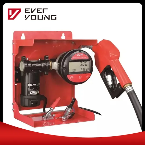 DC 12V Digital Instrument Operated Diesel Fuel Medium Small Pump Unit DC Diesel Engine Pump Unit 