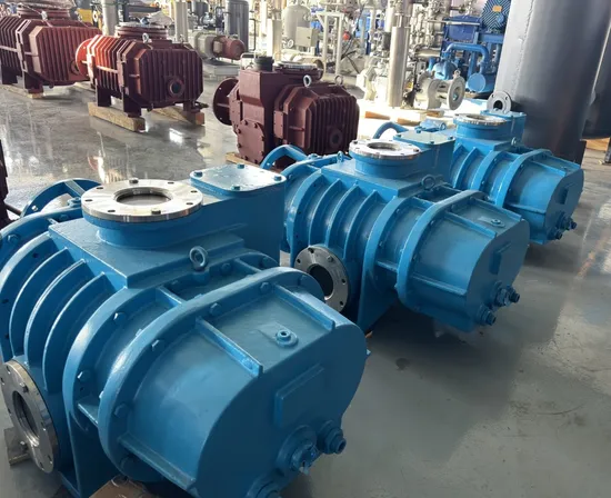 Double Stage Oil Free Roots Pump Units with Rotary Vane Backing Pump 