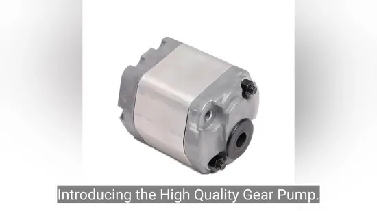 1apf Gear Pump Efficient and Quiet for Micro Hydraulic Oil System Power Unit Compact Design Reliable Performance 